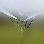 手探りの固定ページとメニューの作成