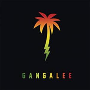FARRUKOの最新アルバム「GANGALEE」をレビュー!全曲最高