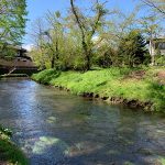 日帰りで新倉富士浅間神社と忍野八海と山中湖に行ってきた