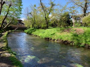 日帰りで新倉富士浅間神社と忍野八海と山中湖に行ってきた