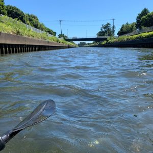 9月も終わる平日に引地川を気持ちよくクルージングしてきたよ