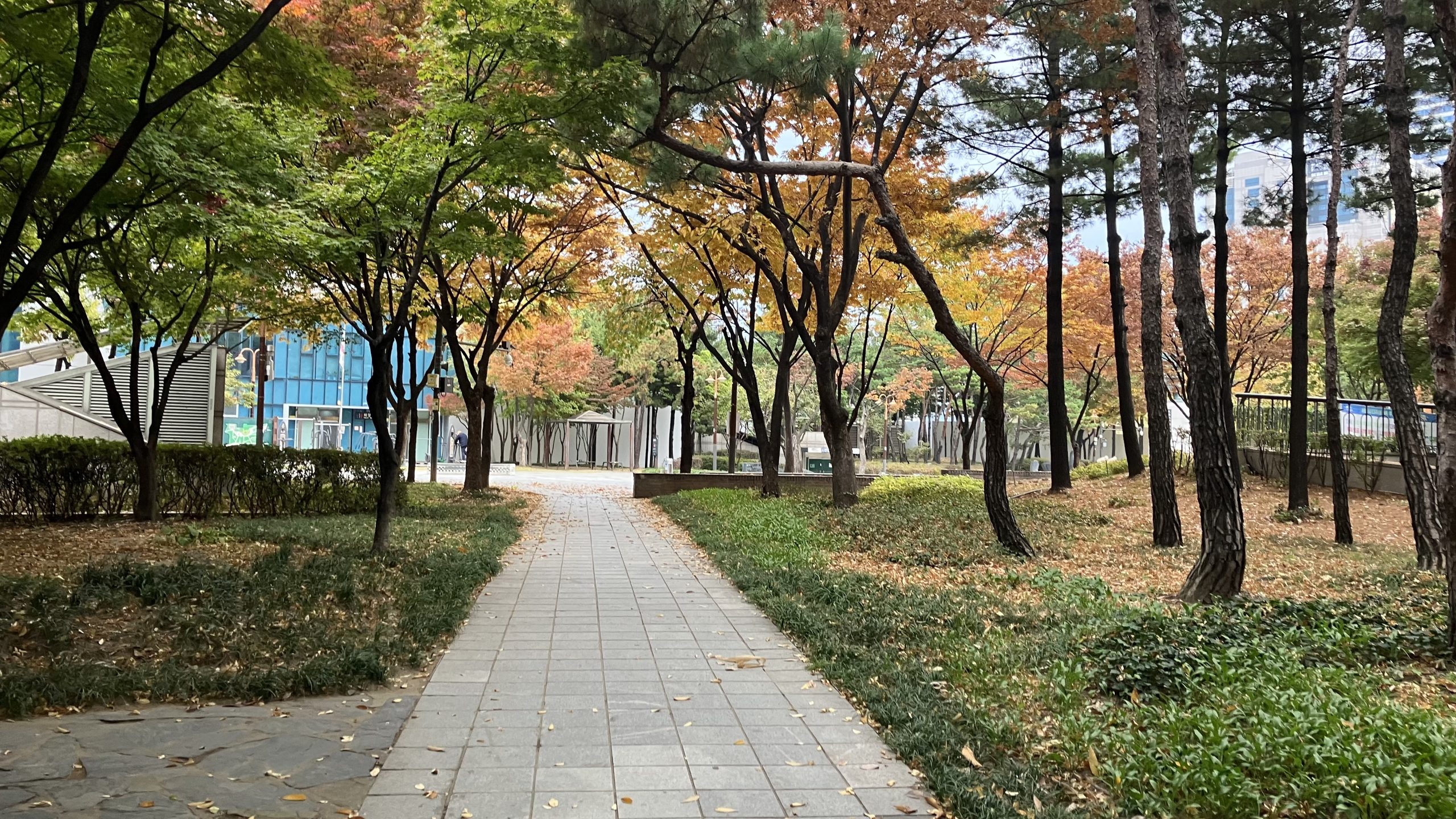 ホテル周辺の公園